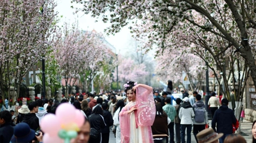 陜西實施重點文旅產(chǎn)業(yè)補鏈延鏈強鏈行動